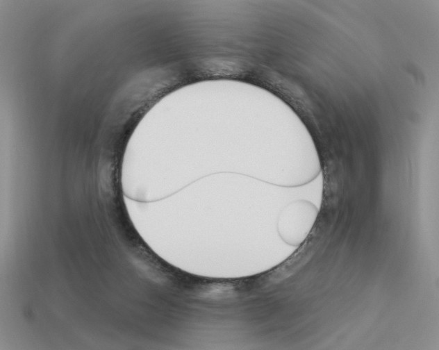 X0000113550162200909181006