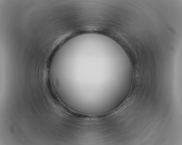 X0000113550164200909181007