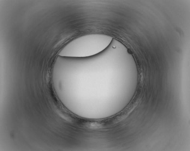X0000113550165200909181007