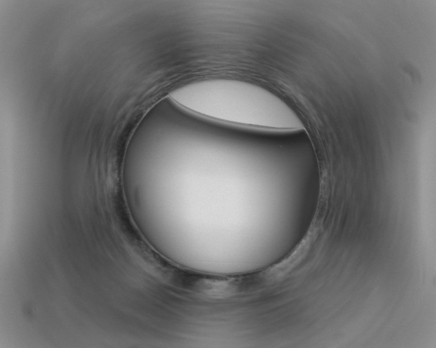 X0000113550170200909181007