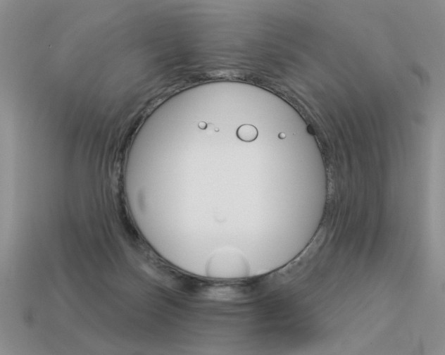 X0000113550171200909181007