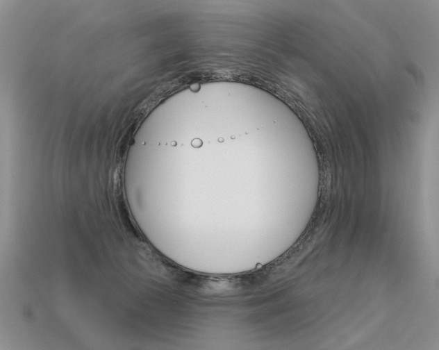 X0000113550177200909181007