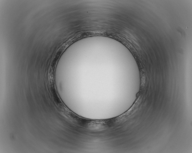 X0000113550179200909181007