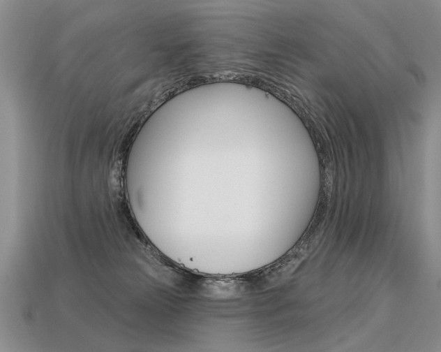 X0000113550181200909181007