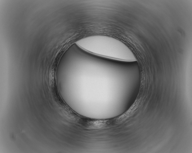 X0000113550184200909181007