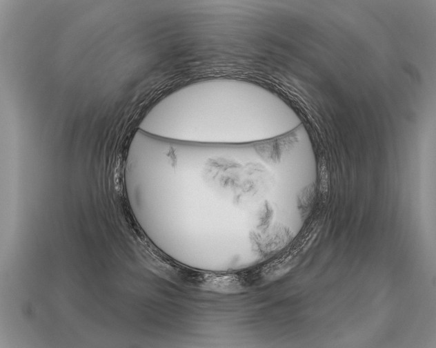 X0000113550185200909181007