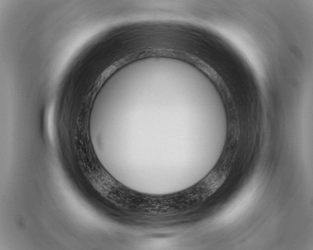 X0000113550189200909181007