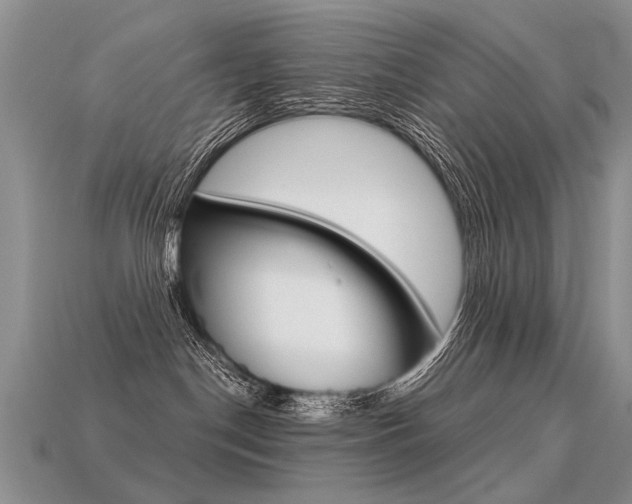 X0000113550190200909181007