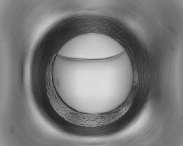 X0000113550191200909181007