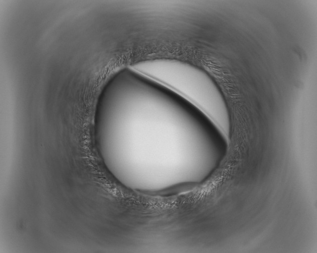 X0000113550192200909181007