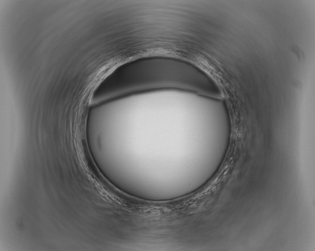X0000113550193200909181006