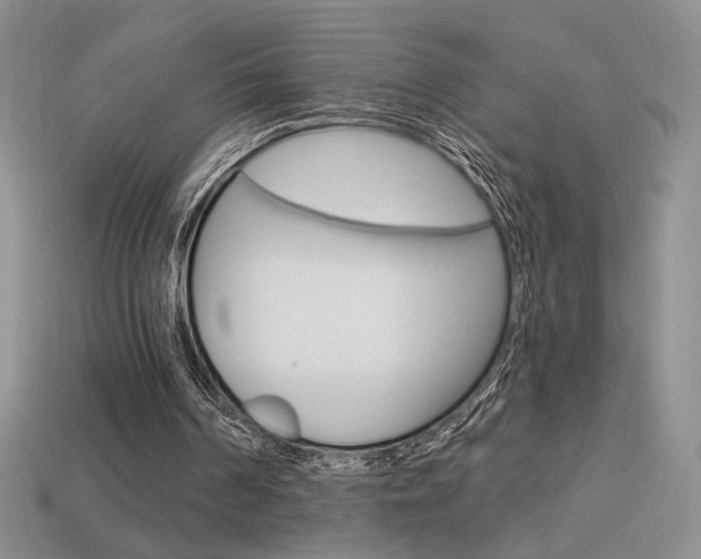 X0000113550194200909181006