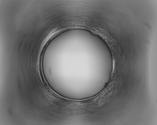 X0000113550195200909181006