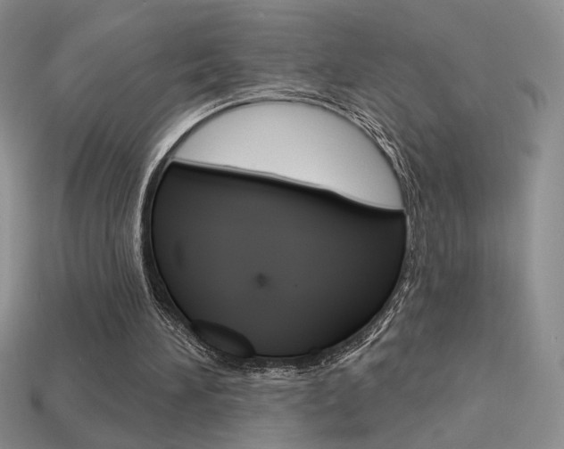 X0000113550196200909181006
