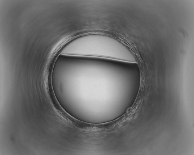 X0000113550197200909181006