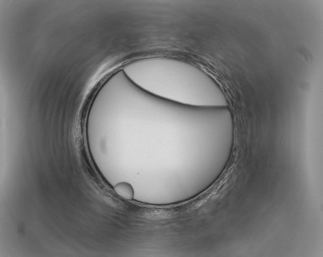 X0000113550198200909181006