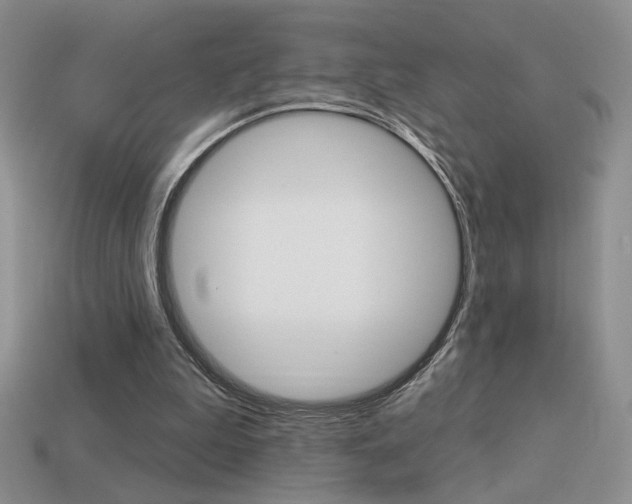 X0000113550199200909181006