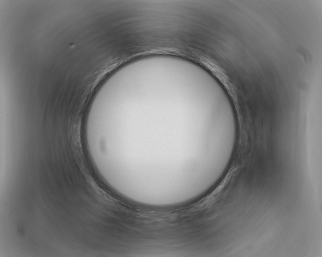 X0000113550201200909181006