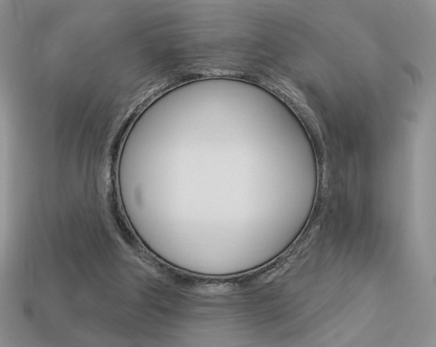 X0000113550202200909181006