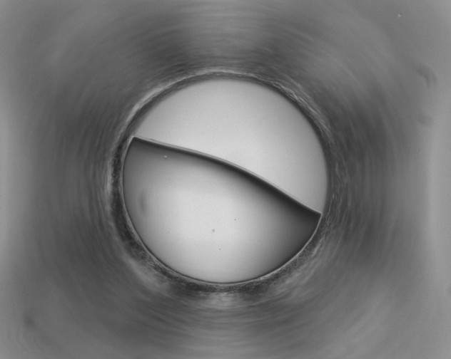 X0000113550204200909181006