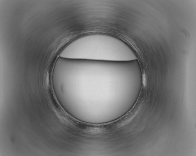 X0000113550205200909181006