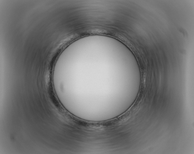 X0000113550206200909181006