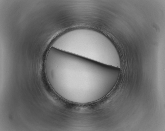 X0000113550208200909181006