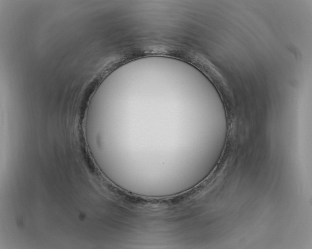 X0000113550209200909181006
