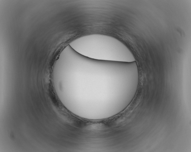 X0000113550210200909181006