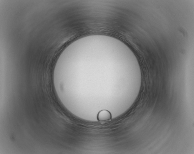 X0000113550211200909181006