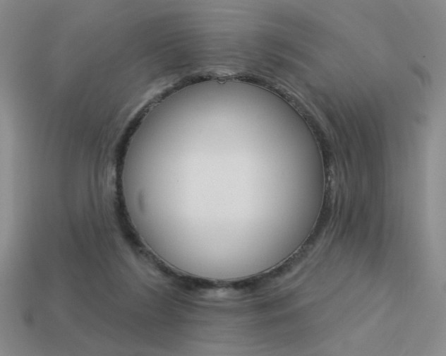 X0000113550212200909181006
