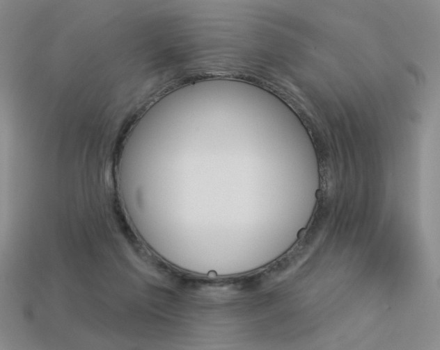 X0000113550213200909181006