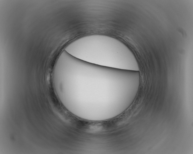 X0000113550214200909181006