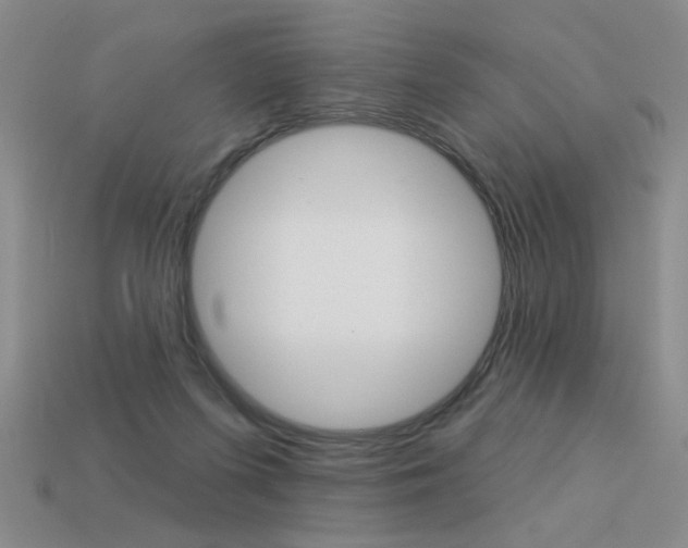 X0000113550215200909181006