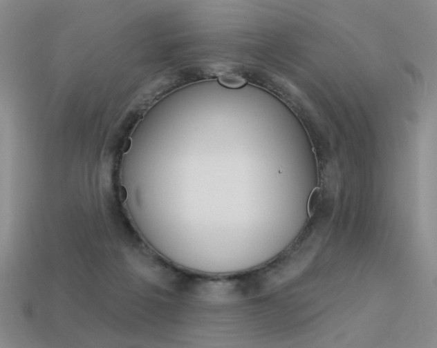 X0000113550217200909181006