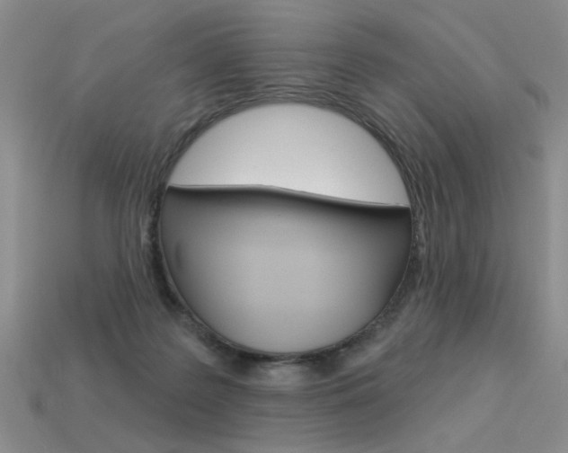 X0000113550219200909181006