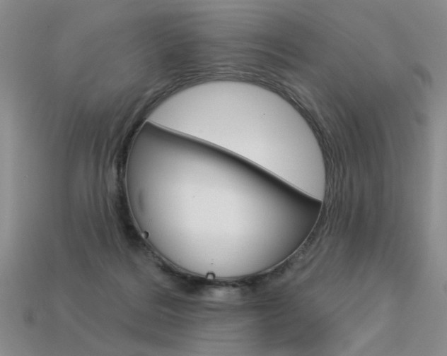 X0000113550220200909181006