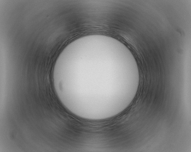 X0000113550221200909181006