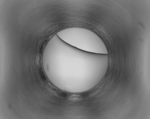 X0000113550222200909181006