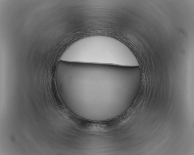 X0000113550223200909181006