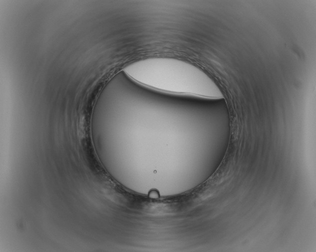 X0000113550224200909181006