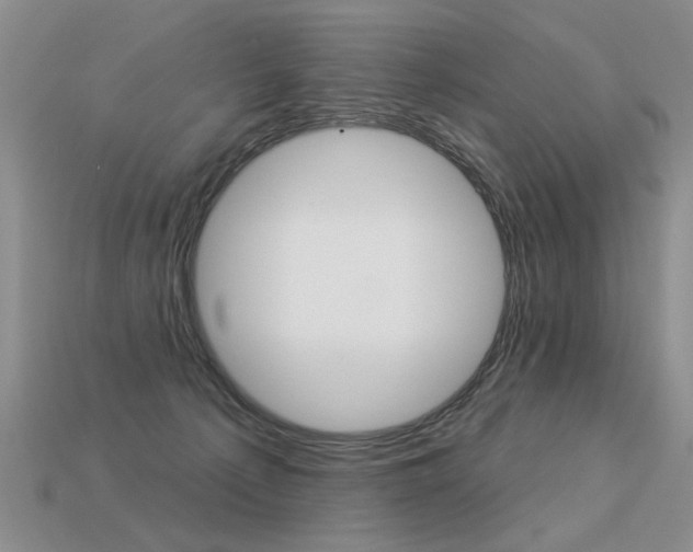 X0000113550225200909181006