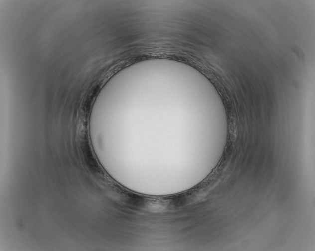 X0000113550226200909181006