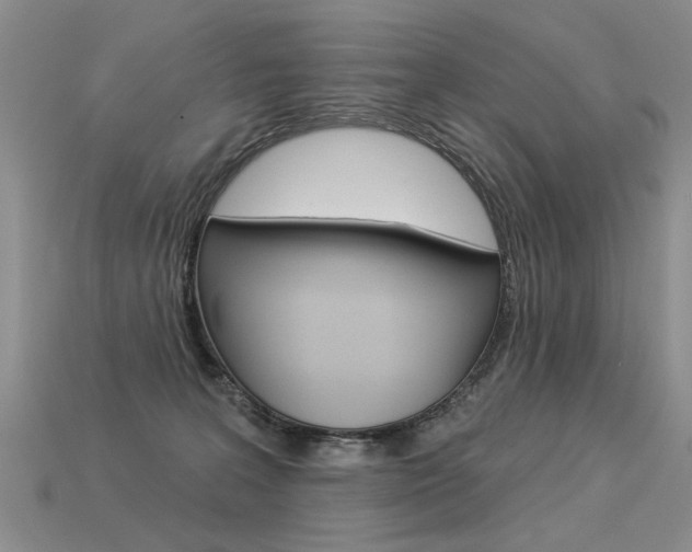 X0000113550227200909181006