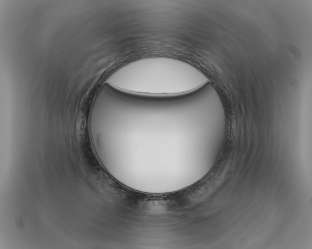 X0000113550228200909181006