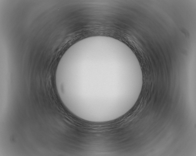 X0000113550229200909181006