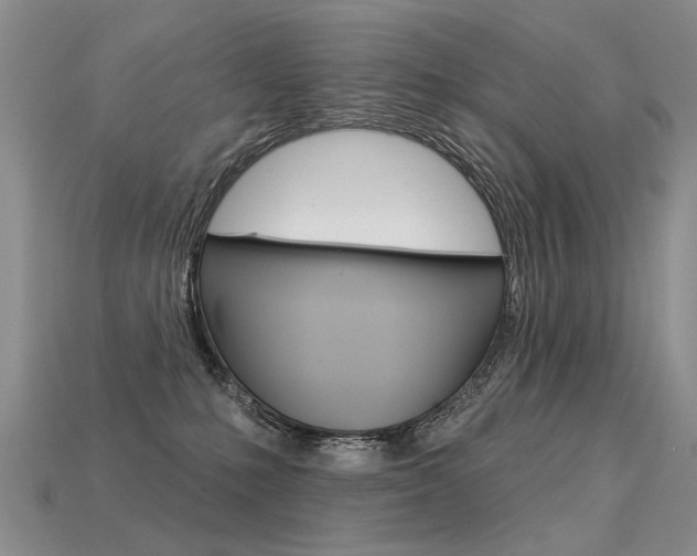 X0000113550231200909181006