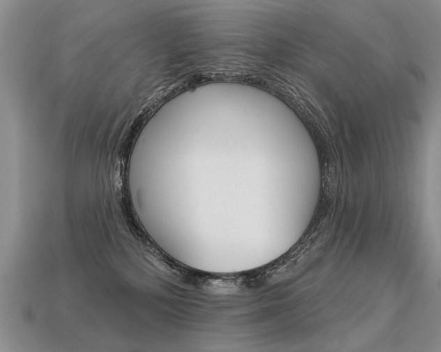 X0000113550232200909181006
