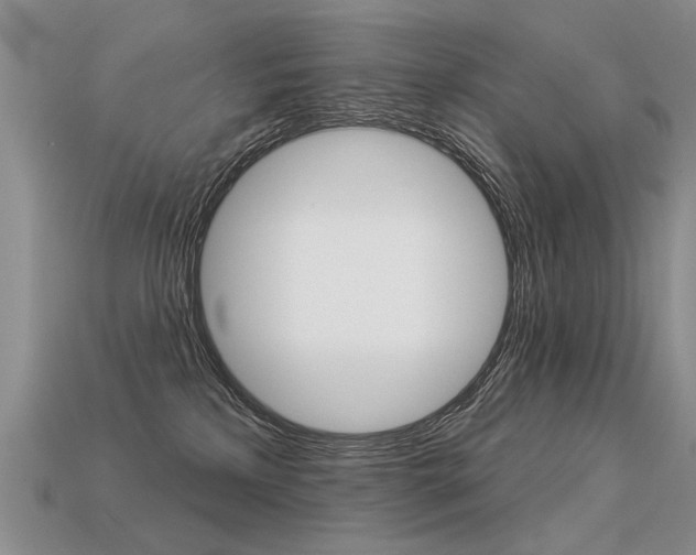 X0000113550233200909181006