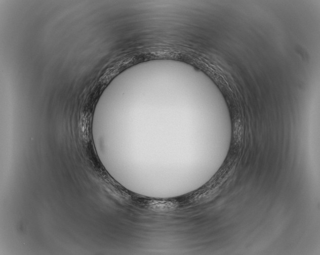 X0000113550234200909181006